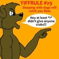 Yiffrule #29