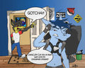 Wild Lucario Appeared