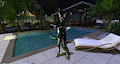 Jex Pony Play Poolside by bdever