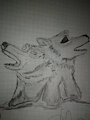 Wolves