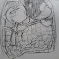 you gotta move it slowly by heartlurch