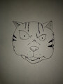 Its Fritz the Cat