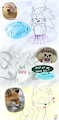 Funny Animals 2