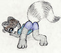 Raccoon Butt