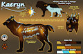 Kaeryn Reference 2020