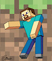 Aw Heck, Lemme Smash - Steve