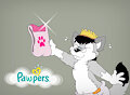 Pawpers to the rescue !