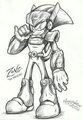 Zonic
