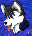 Icon request 2 by Irinae