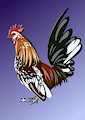Cock a Doodle by AgeofGoositude
