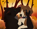 Affectionate Doggies