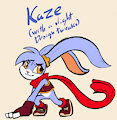 Kaze - Design tests