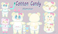 Cotton Candy the Hamster Reference Sheet