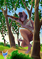 Viola between the trees