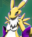 Renamon by DiegoShedyk53182