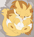 *C*_Comfy and fuzzy