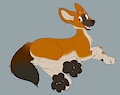 dhole toes!