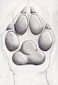 {Art by Me} Evidence of Improvement