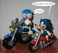Bike buds