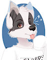 {G} Gift for Sky