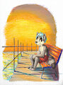 Boardwalk Pier
