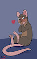 Small Rat.