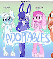*A*_Easter bunnies