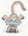 Orion's Handstand -commission-