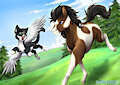 Freedom by TokoKami