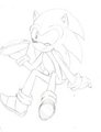 Sonic sittin pretty