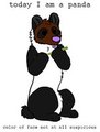 panda by Reddywolf