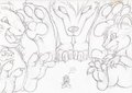 pokepaws barrack