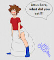 Holy crap Sora!!