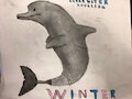 Winter the Dolphin