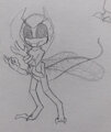 Mis Bugsona
