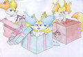 Brais in boxes
