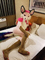 Pink Candy Fox looking very cute.