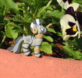 Zecora!