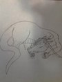 Sleeping Dragon
