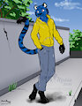 Afternoon Stroll