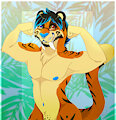 Mr. manly tig