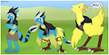 Dragon to Chocobo Transformation