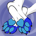 More Paws~