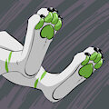 Xplico's Paws! by Xplico