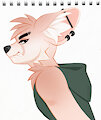 Angry Fox by Techagau
