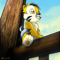 Looking On...