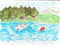 a fur balls casual swim