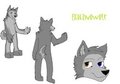 Externowolf ref sheet! WOO!!!! =D by externowolf