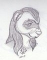 Headshot