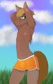 Pony Runner by Paolo